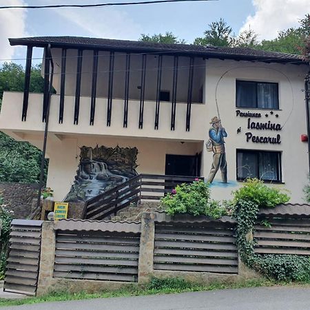 Pensiunea Iasmina Si Pescarul Calimanesti Exterior photo