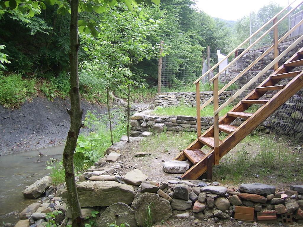 Pensiunea Iasmina Si Pescarul Calimanesti Exterior photo