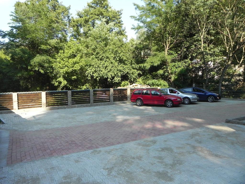 Pensiunea Iasmina Si Pescarul Calimanesti Exterior photo